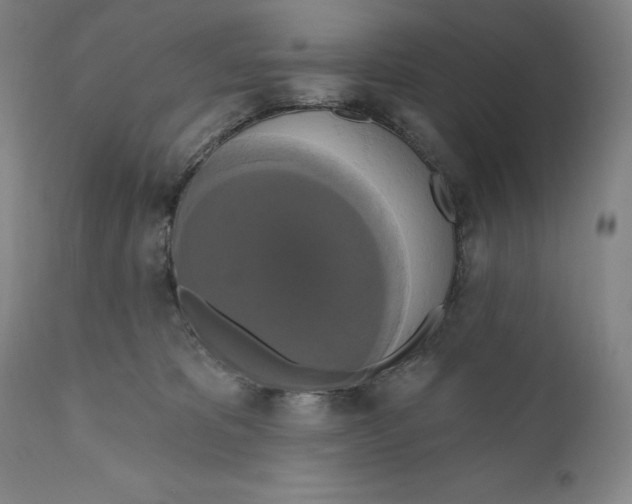 X0000111020325200907101346