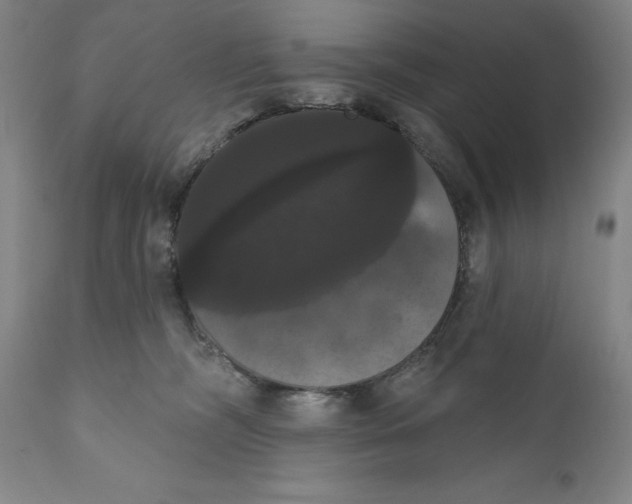 X0000111020326200907101346