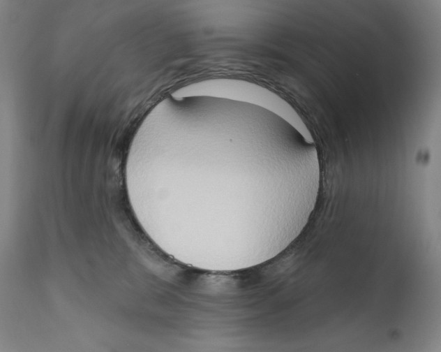 X0000111020327200907101346