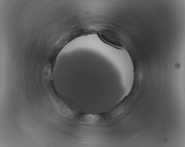 X0000111020328200907101346