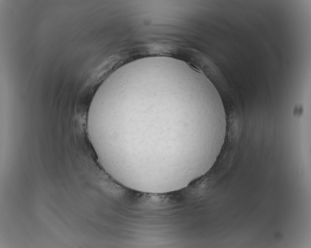 X0000111020329200907101346