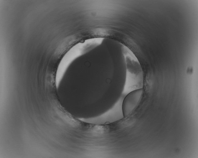 X0000111020330200907101346