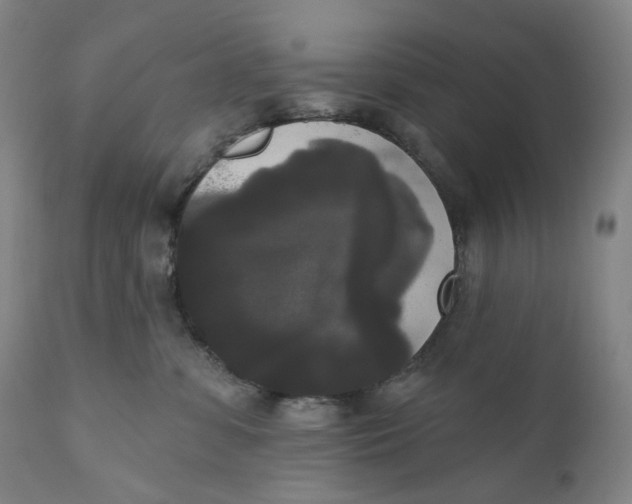 X0000111020331200907101346