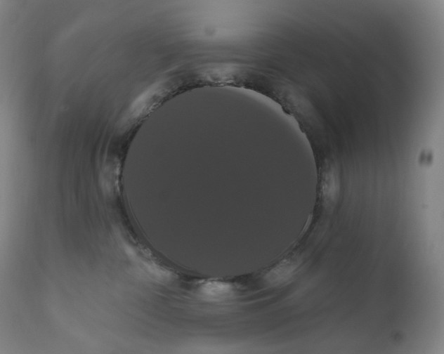 X0000111020332200907101346