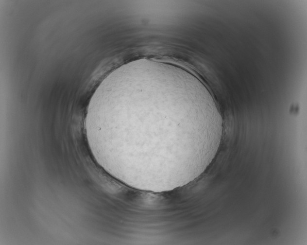X0000111020333200907101346