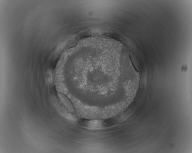 X0000111020335200907101346