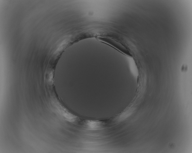 X0000111020336200907101346