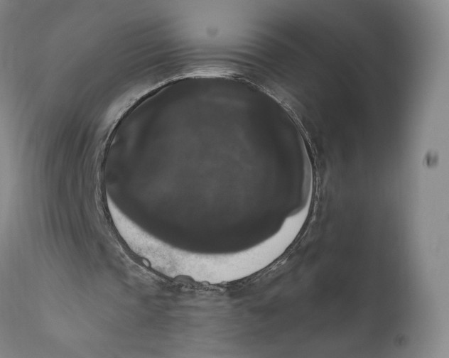 X0000111020337200907101345