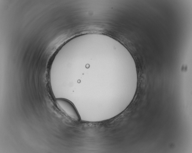 X0000111020338200907101345