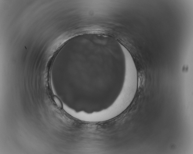 X0000111020339200907101345