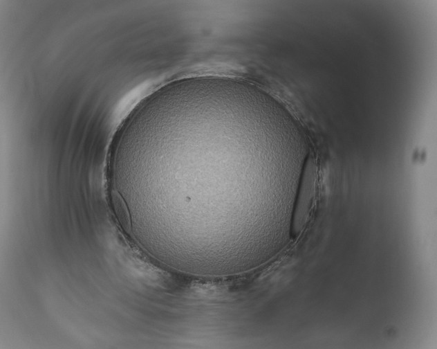 X0000111020340200907101345