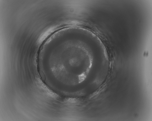 X0000111020341200907101345