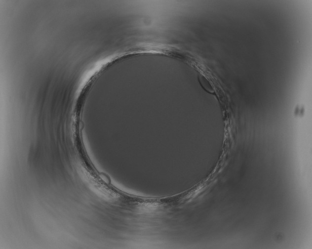 X0000111020342200907101345