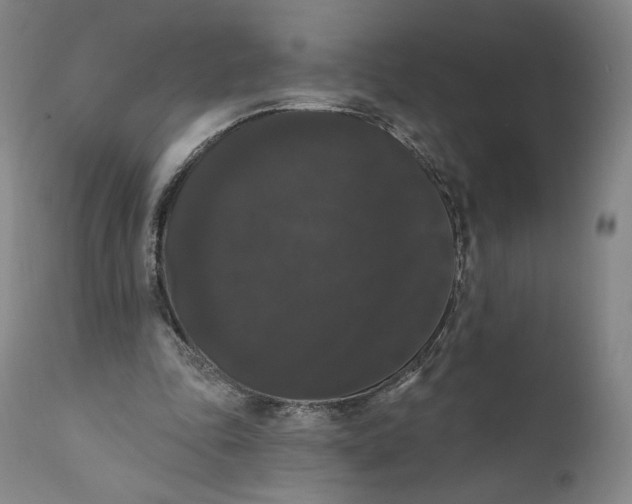 X0000111020343200907101345