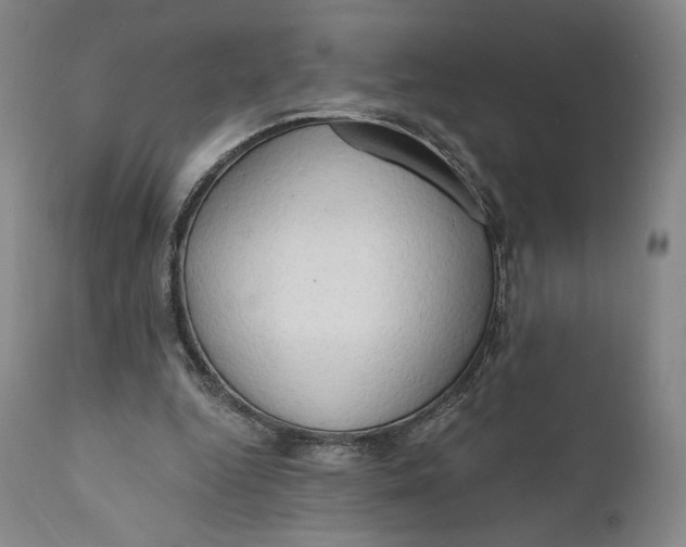 X0000111020344200907101345