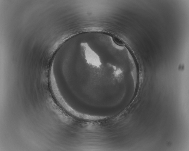 X0000111020345200907101345