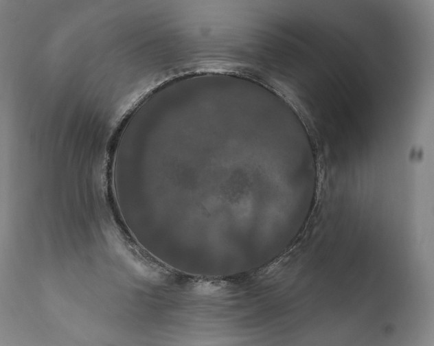 X0000111020346200907101345