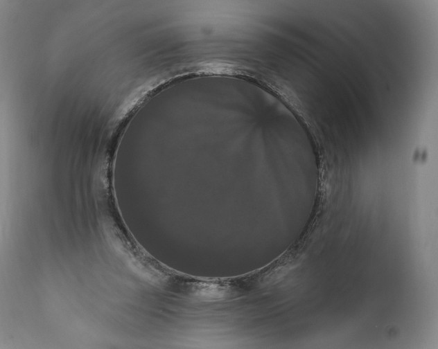 X0000111020347200907101345