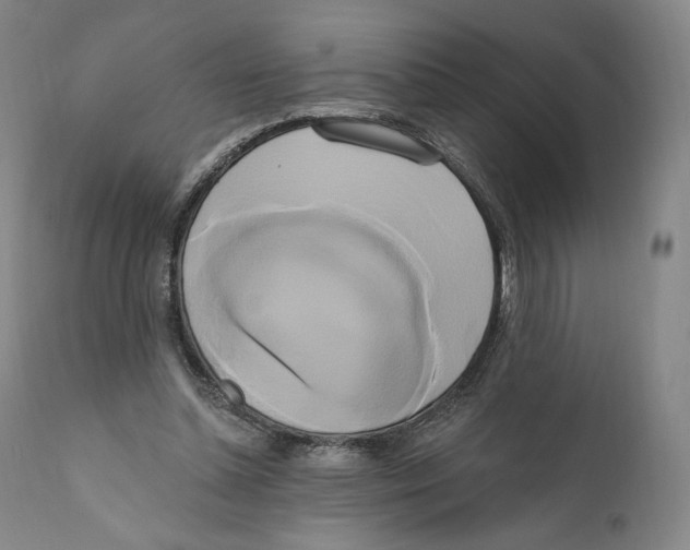 X0000111020348200907101345