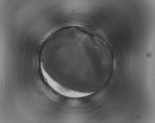 X0000111020349200907101345