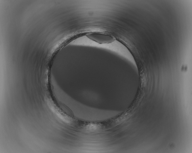X0000111020350200907101345