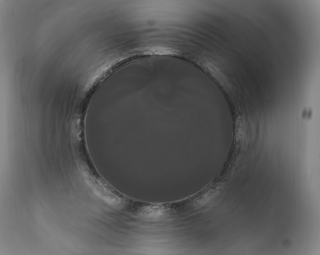X0000111020351200907101345