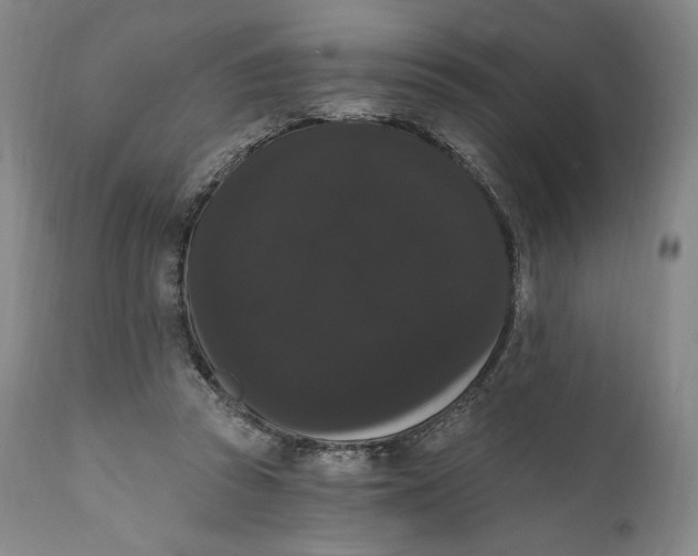 X0000111020353200907101345