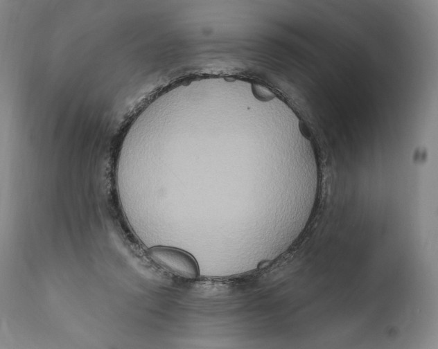 X0000111020354200907101345