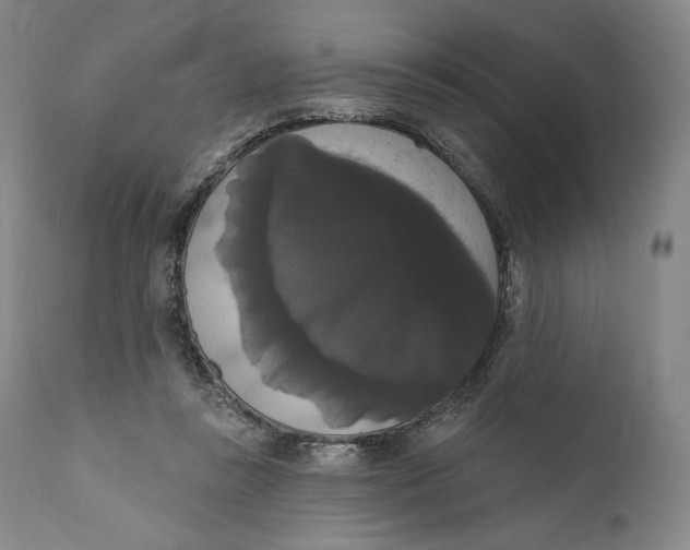X0000111020355200907101345