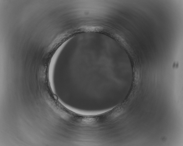 X0000111020357200907101345