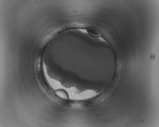 X0000111020358200907101345
