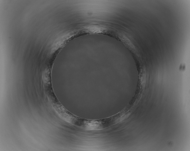 X0000111020359200907101345