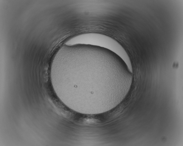 X0000111020360200907101345