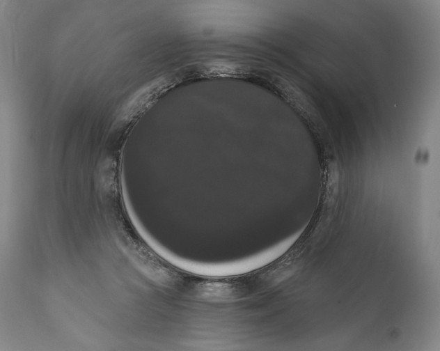 X0000111020361200907101345
