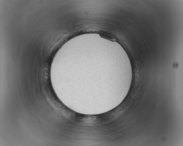 X0000111020362200907101345
