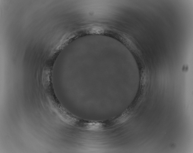 X0000111020363200907101345