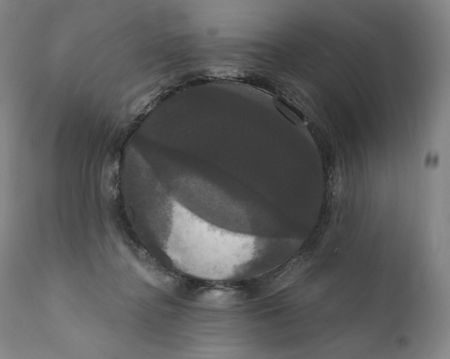 X0000111020364200907101345