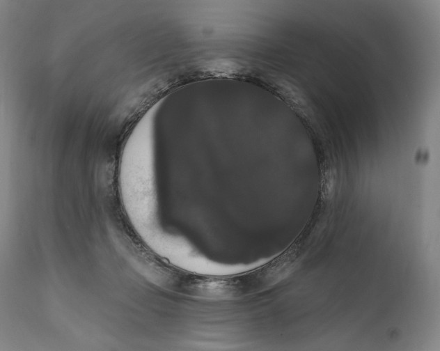 X0000111020365200907101345