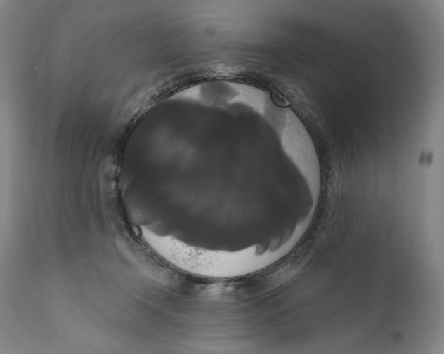 X0000111020366200907101345