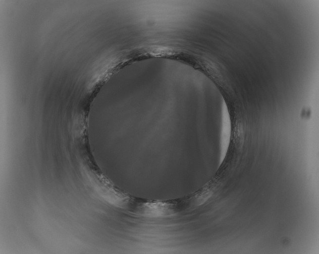 X0000111020367200907101345