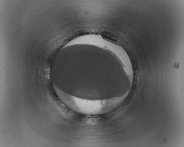 X0000111020368200907101345