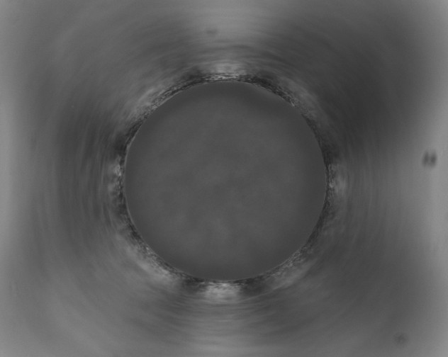 X0000111020369200907101345