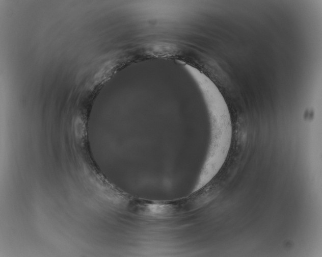 X0000111020371200907101345