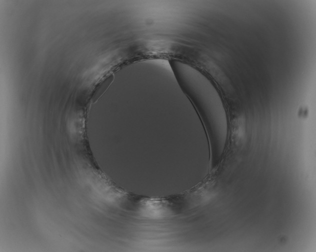 X0000111020372200907101345
