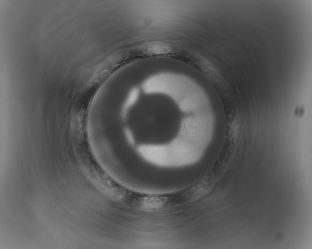 X0000111020373200907101345
