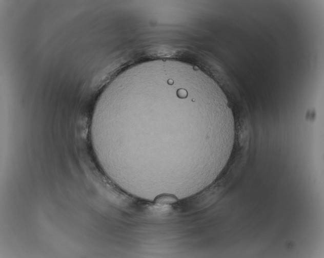 X0000111020374200907101345