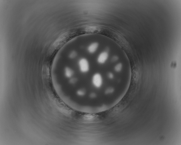 X0000111020375200907101345