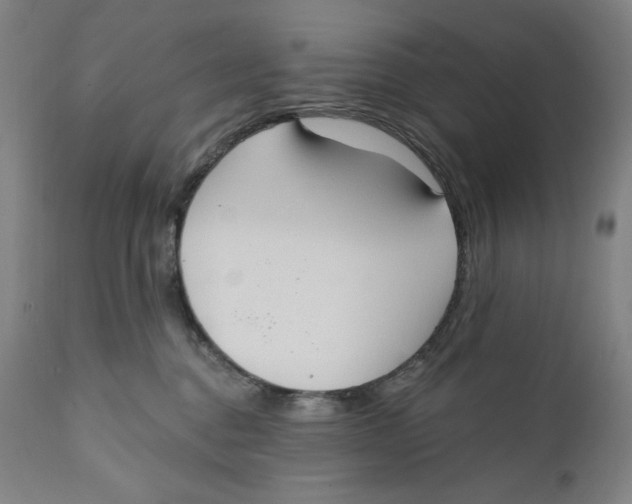 X0000111020376200907101345