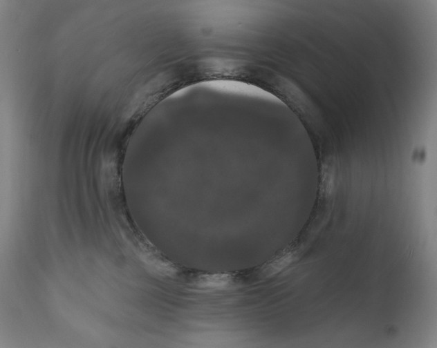X0000111020377200907101345