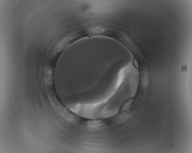 X0000111020378200907101345